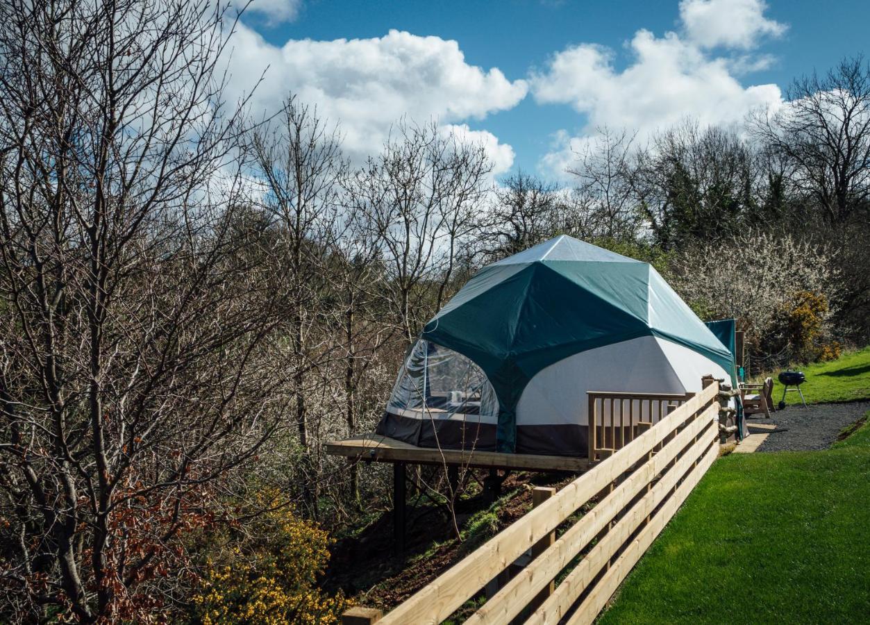 Little River Glamping Ballymoney Exteriör bild