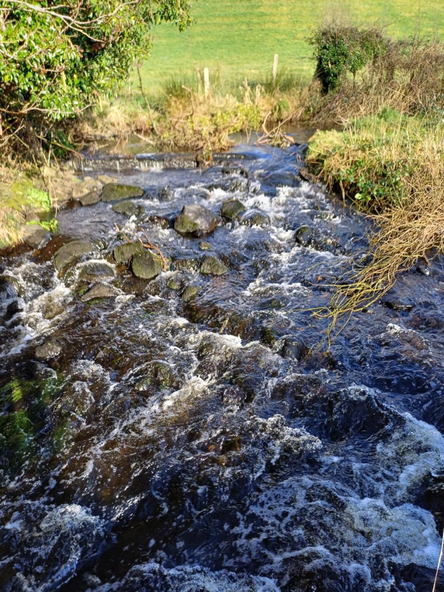 Little River Glamping Ballymoney Exteriör bild