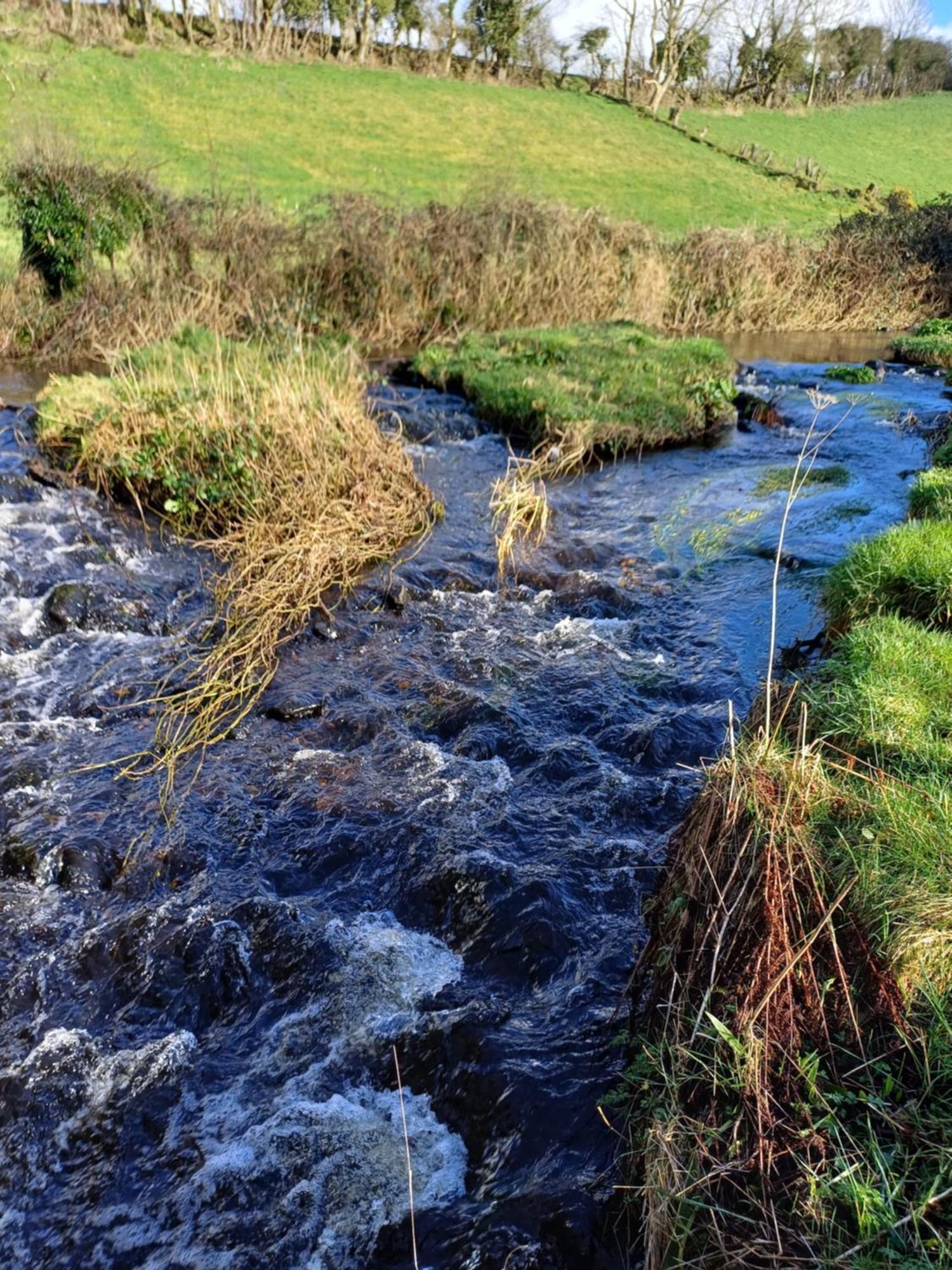 Little River Glamping Ballymoney Exteriör bild