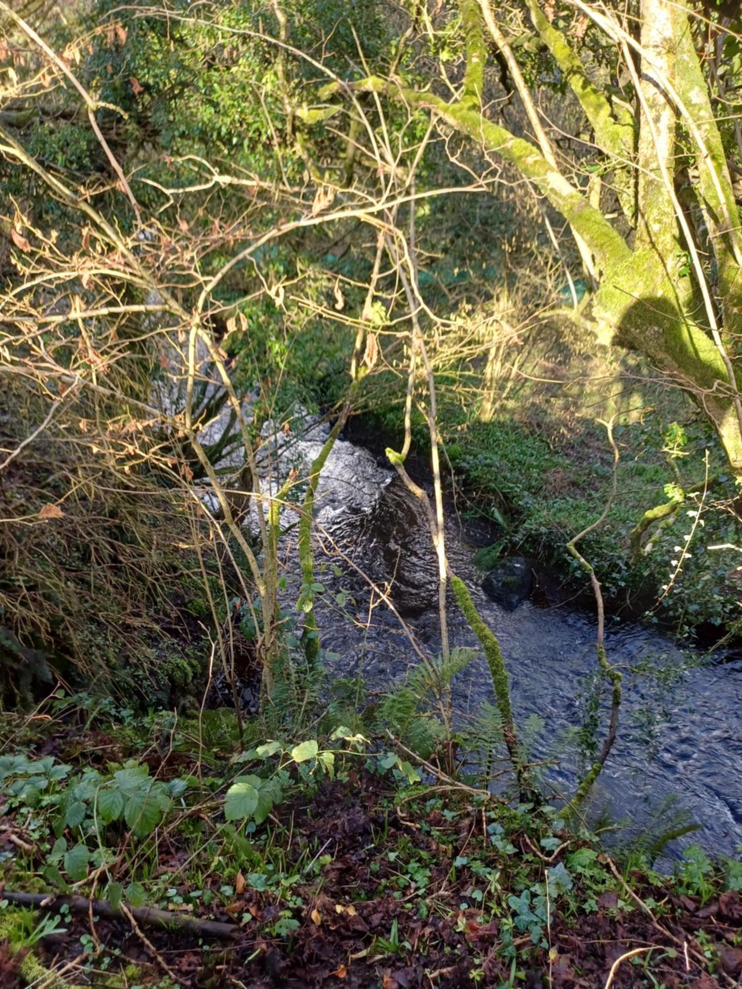 Little River Glamping Ballymoney Exteriör bild