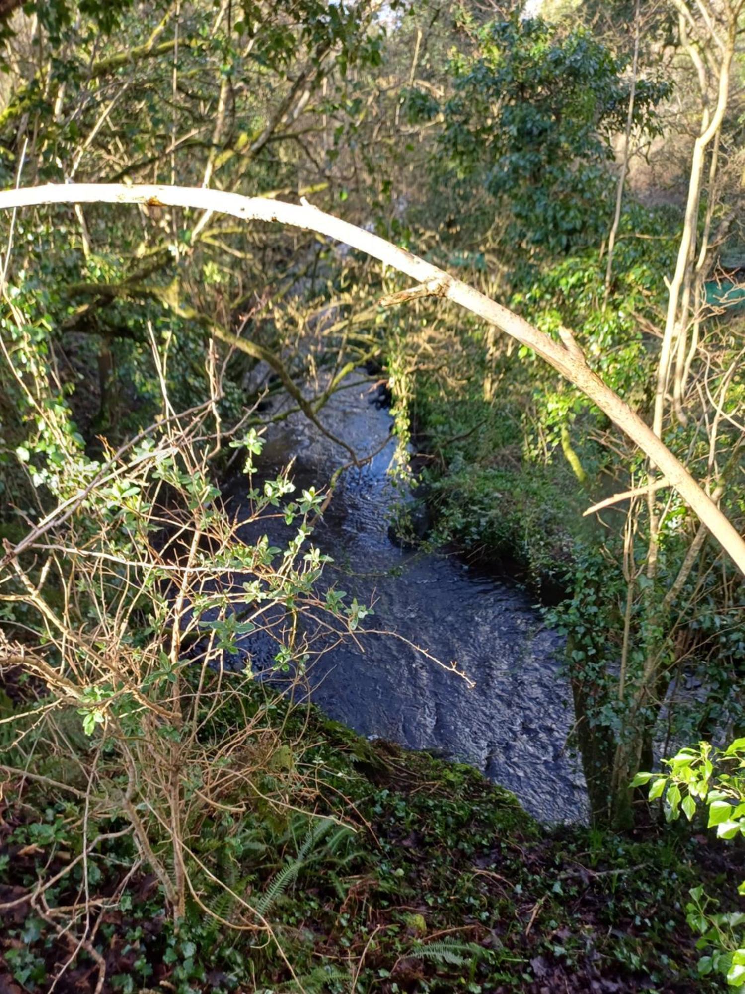 Little River Glamping Ballymoney Exteriör bild